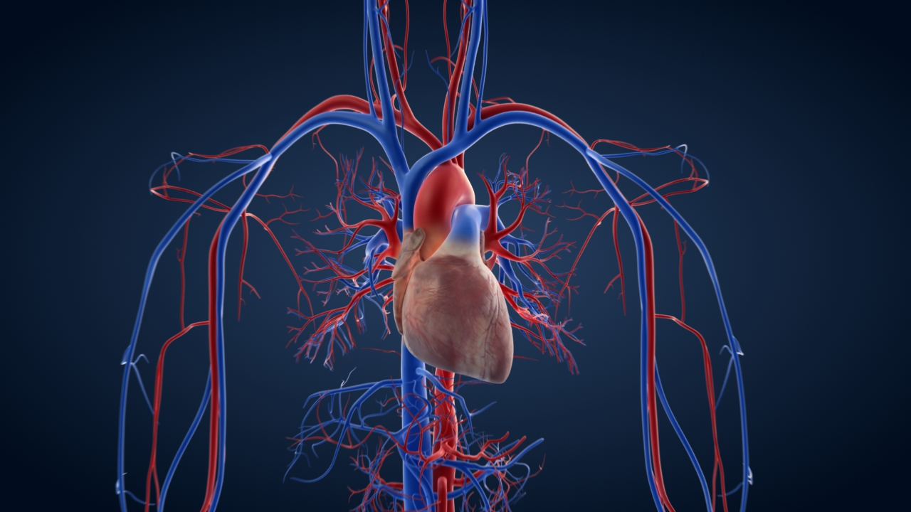 Cat Production GmbH - Heart