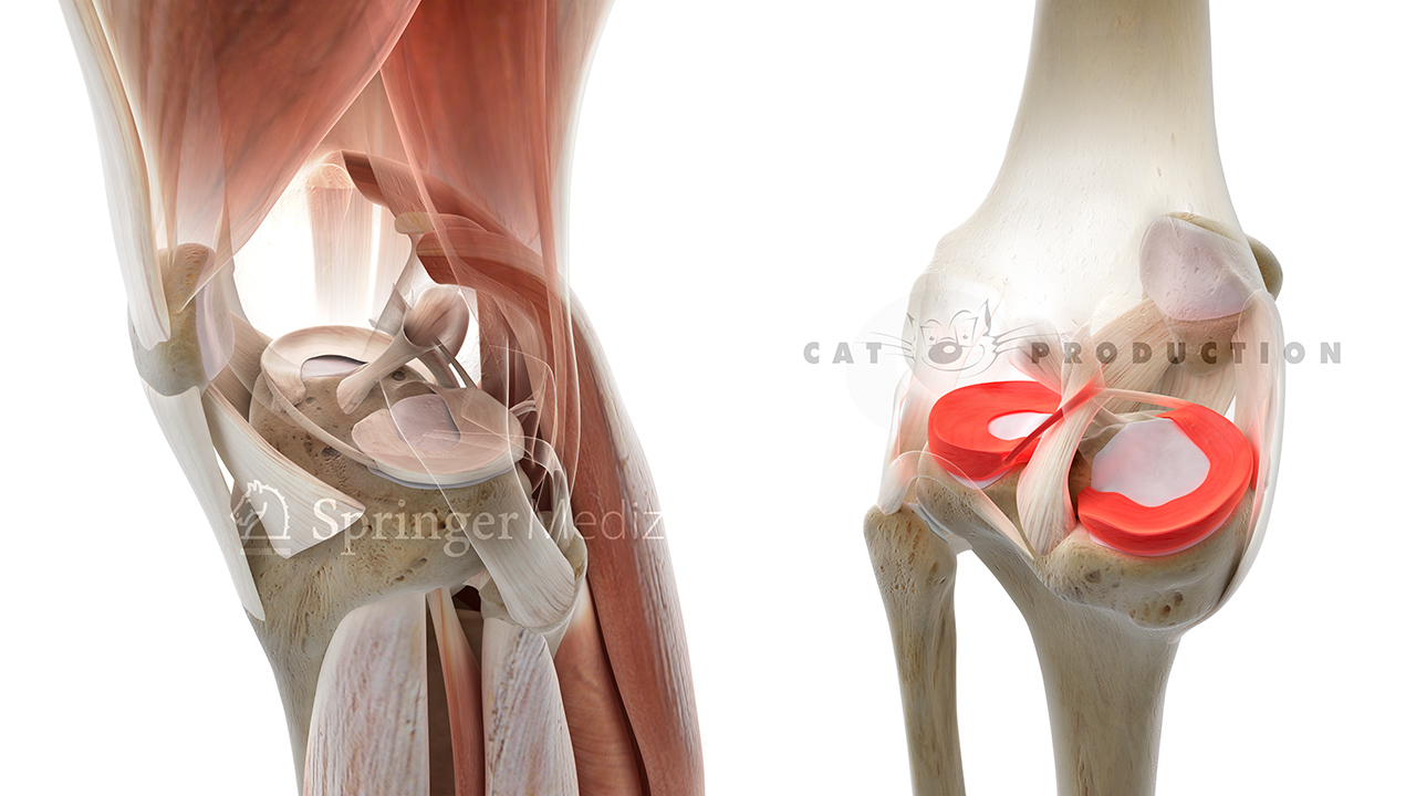 CAT PRODUCTION GmbH - Medical Imaging